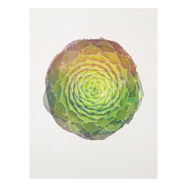 Stampe Acquerelli - Mandala di succulente