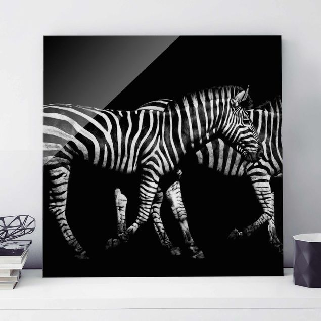 Quadri in vetro in bianco e nero Zebra nel buio