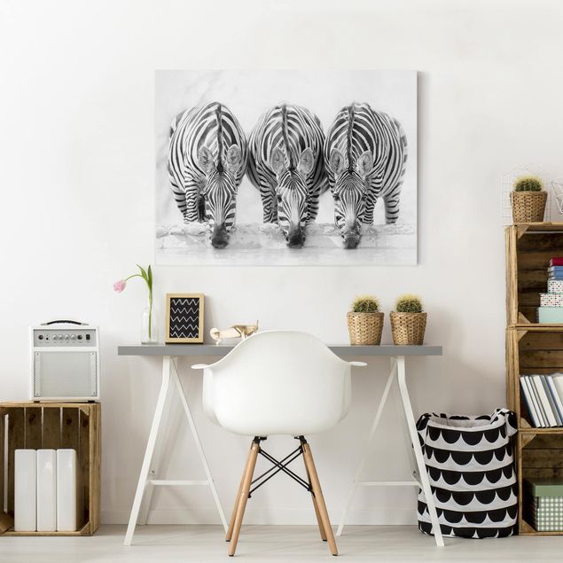 Quadro moderno Trio di zebre in bianco e nero