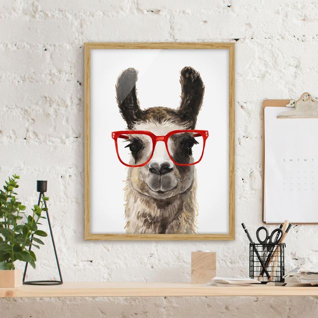 Quadri con cornice con animali Hip Lama con occhiali II
