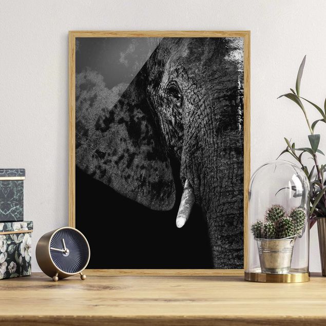 Quadri Africa Elefante africano in bianco e nero