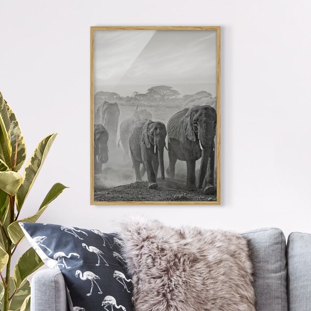 Quadro Africa Branco di elefanti