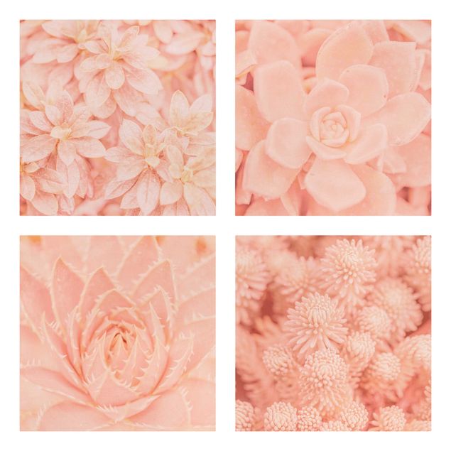 Quadri di fiori Magia dei fiori rosa