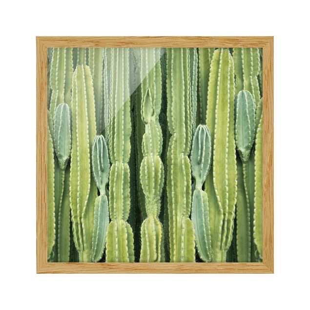 Quadri verdi Muro di cactus