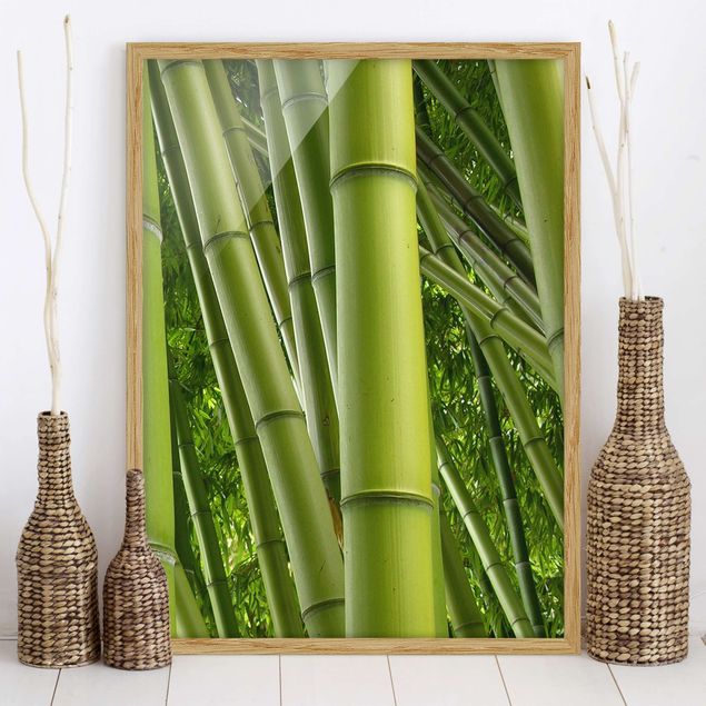 Quadro paesaggio Alberi di bambù n.2