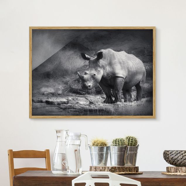 Quadri con cornice in bianco e nero Rinoceronte solitario