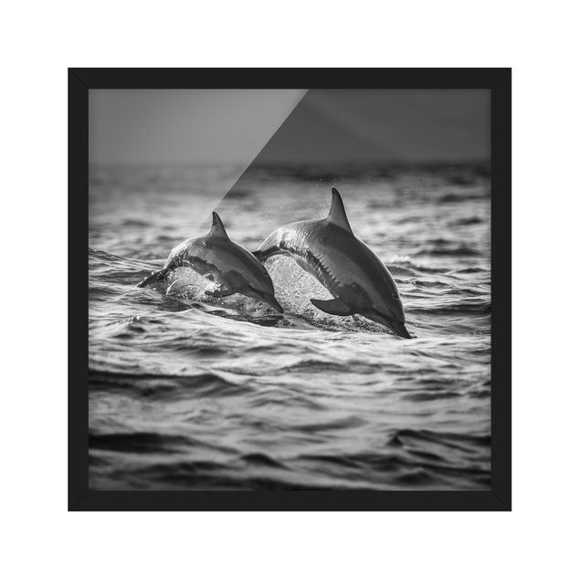 Quadro moderno Due delfini che saltano