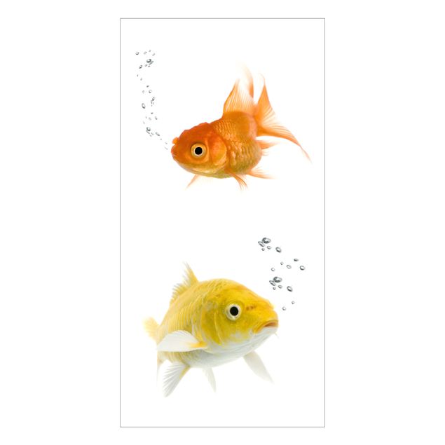Pellicola adesiva per vetri Duo di pesci colorati