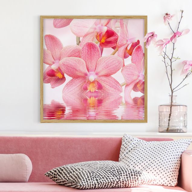 Quadri con orchidee Orchidea rosa chiaro sull'acqua