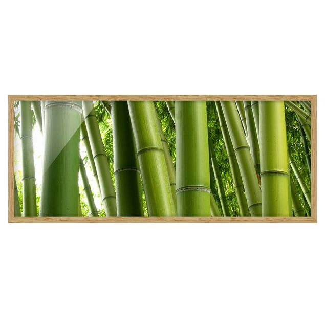 Quadri con cornice con paesaggio Alberi di bambù