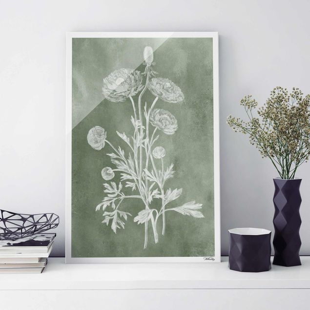 Quadri in vetro con fiori Illustrazione vintage Salvia