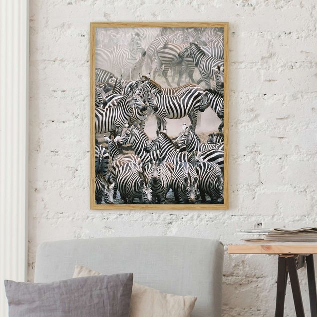 Quadri con zebre Branco di zebre