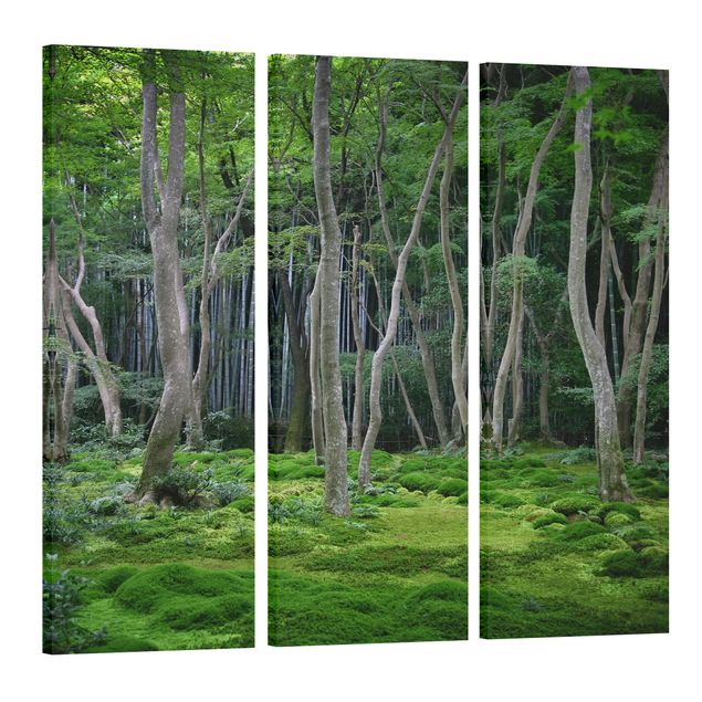 Quadri alberi Foresta giapponese