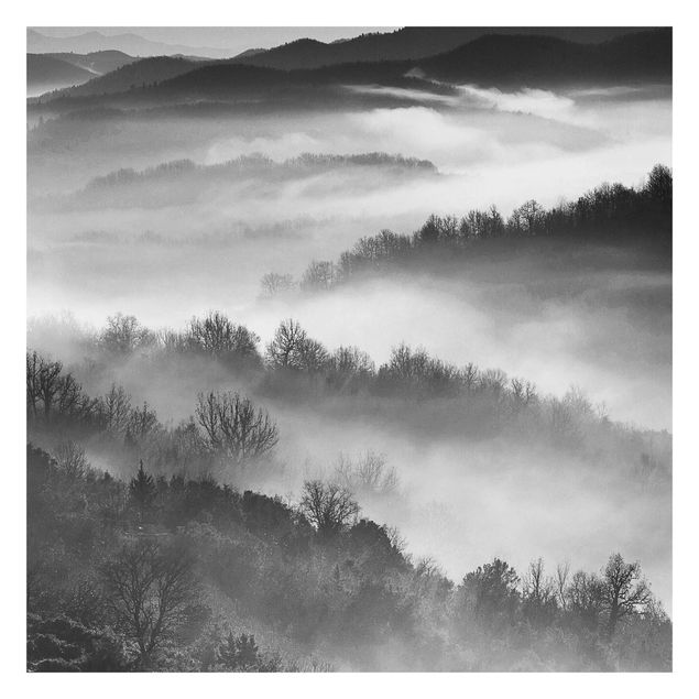 Carta da parati moderne Nebbia al tramonto in bianco e nero