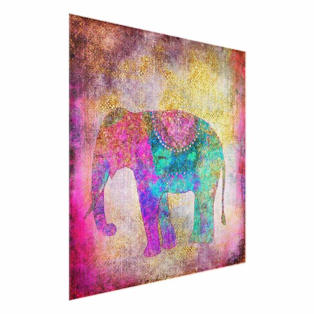 Quadri moderni per arredamento Collage colorato - Elefante indiano