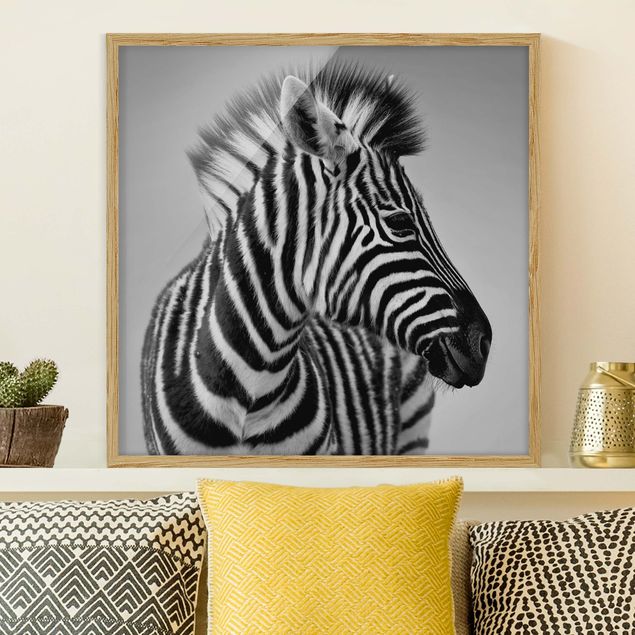 Quadri Africa Ritratto di piccola zebra II