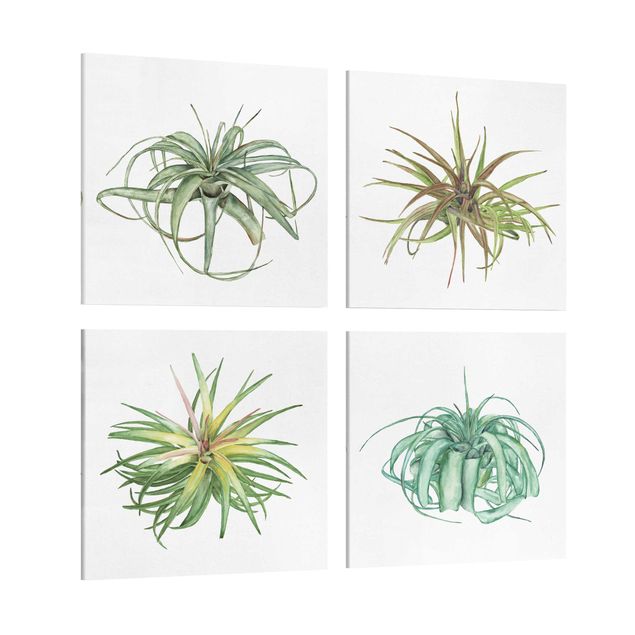 Stampe Set acquerello piante aeree I
