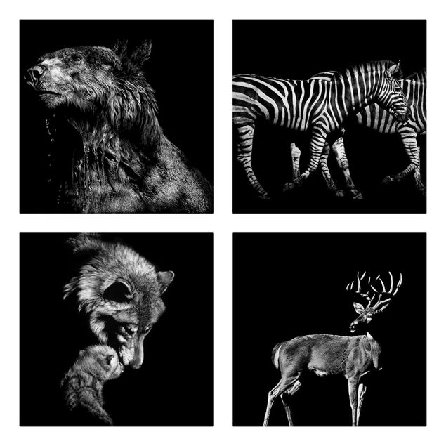 Quadri zebra Animali selvatici dal nero Set I