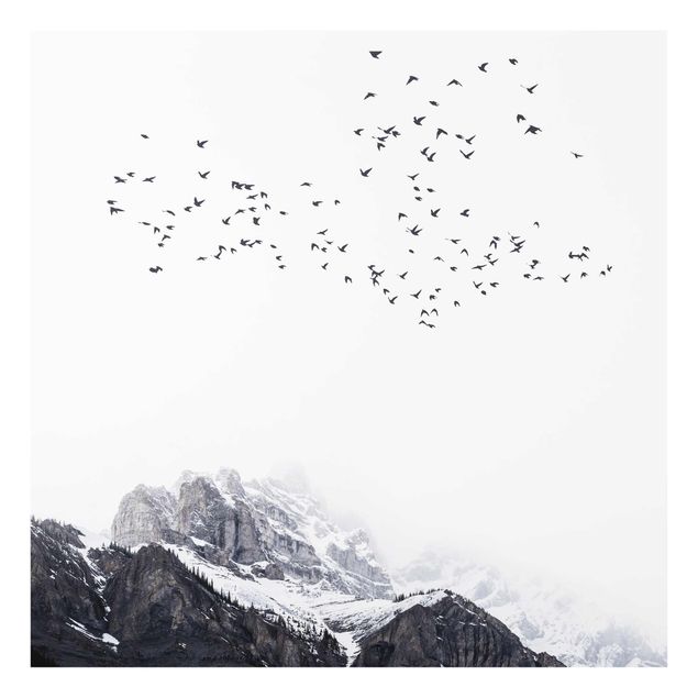 Quadri in vetro con paesaggio Stormo di uccelli di fronte alle montagne in bianco e nero