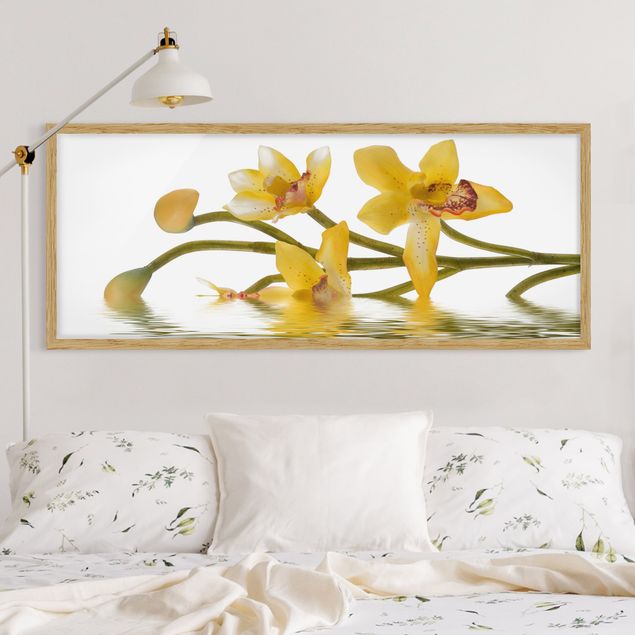 Quadri con cornice con fiori Acque di orchidee color zafferano
