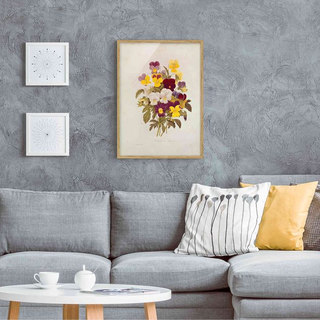 Quadri con cornice con fiori Pierre Joseph Redoute - Bouquet di viole del pensiero