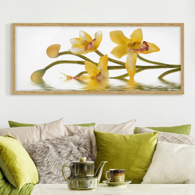 Quadri orchidee Acque di orchidee color zafferano