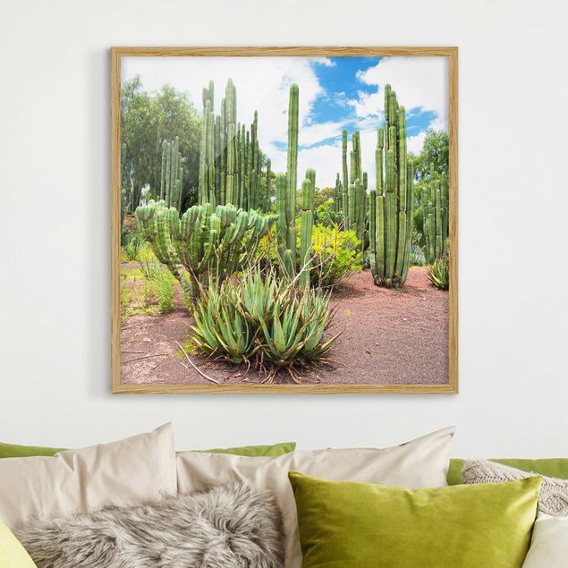 Quadri con cornice con fiori Paesaggio di cactus
