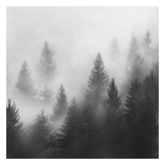 carta da parete Foresta di conifere nella nebbia Bianco e nero