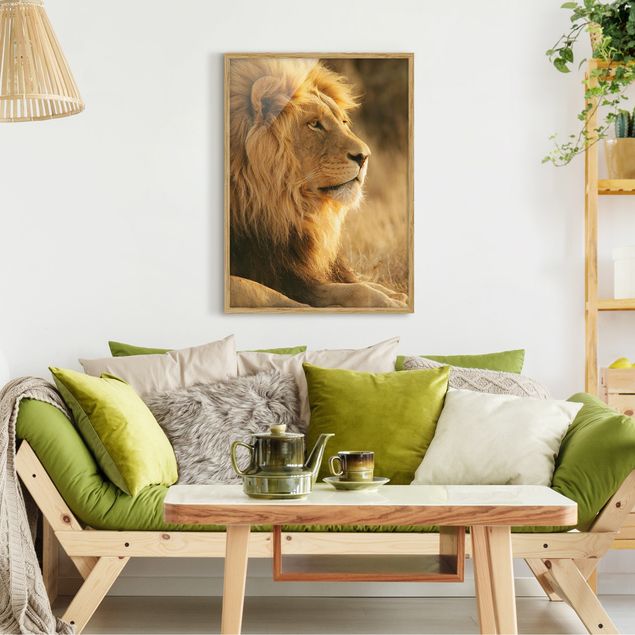 Quadri moderni   Lion King