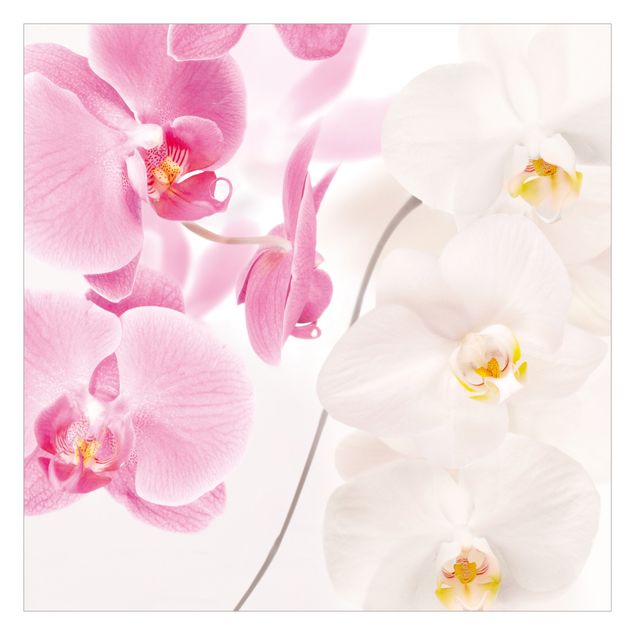 Carta da parati floreale Orchidee delicate