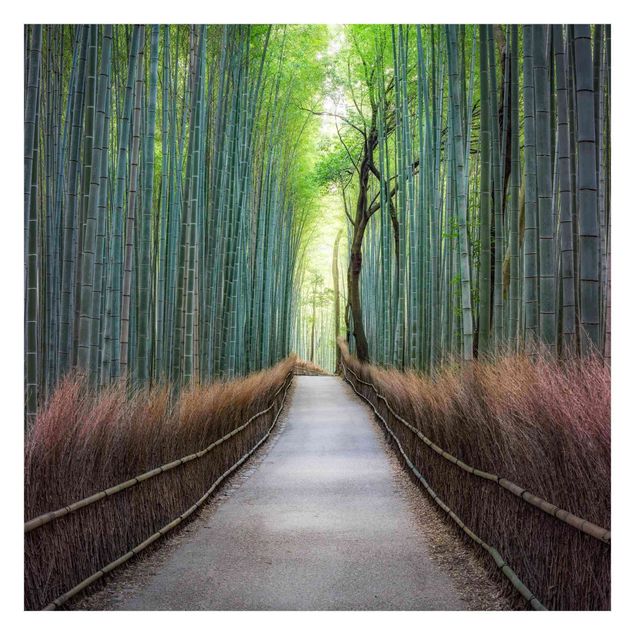 Carte da parati verde Il sentiero attraverso il bambù
