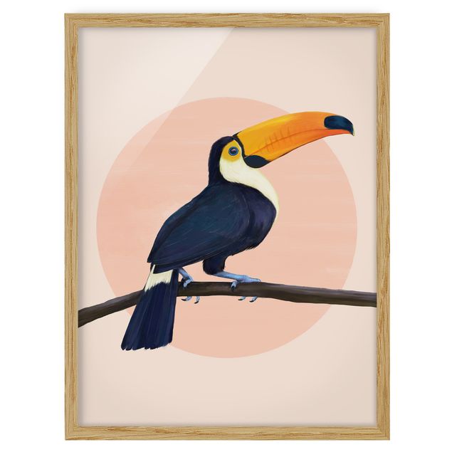 Quadri rosa Illustrazione - Uccello Tucano Pittura Pastello