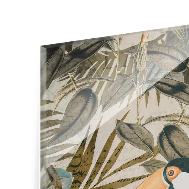Quadri stampe Collage vintage - Tucano nella giungla