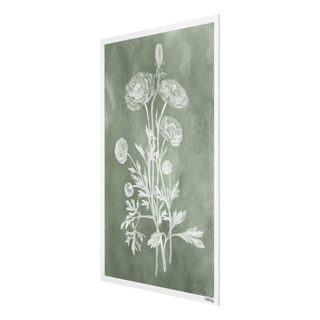 Glas Magnettafel Illustrazione vintage Salvia