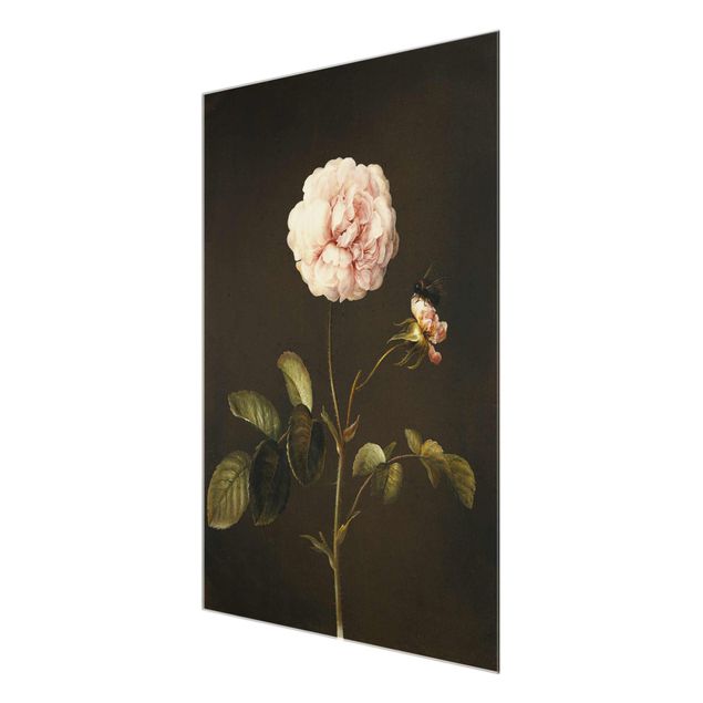 Quadri fiori Barbara Regina Dietzsch - Rosa francese con bumblbee