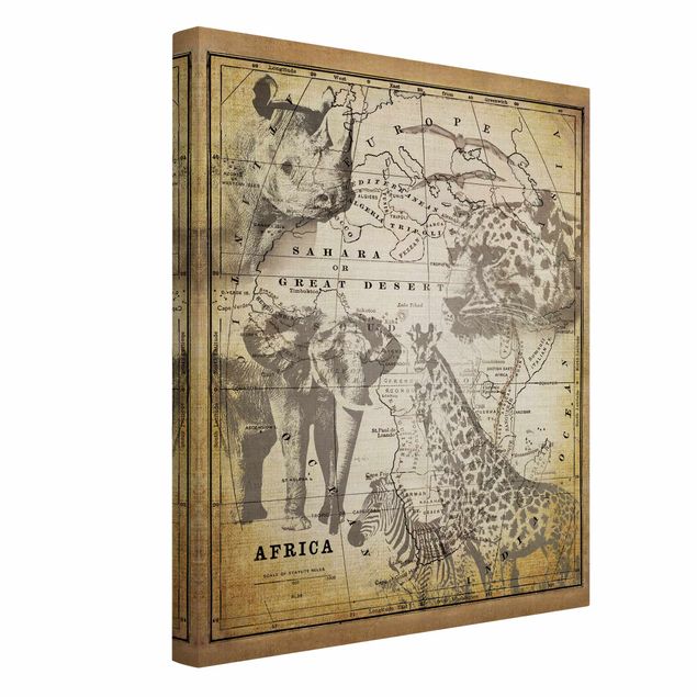 Tela zebra Collage vintage - Animali selvatici in Africa
