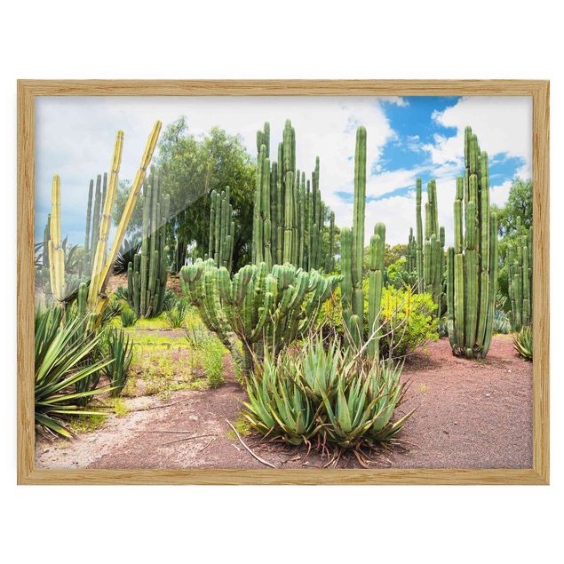 Quadri floreali Paesaggio di cactus