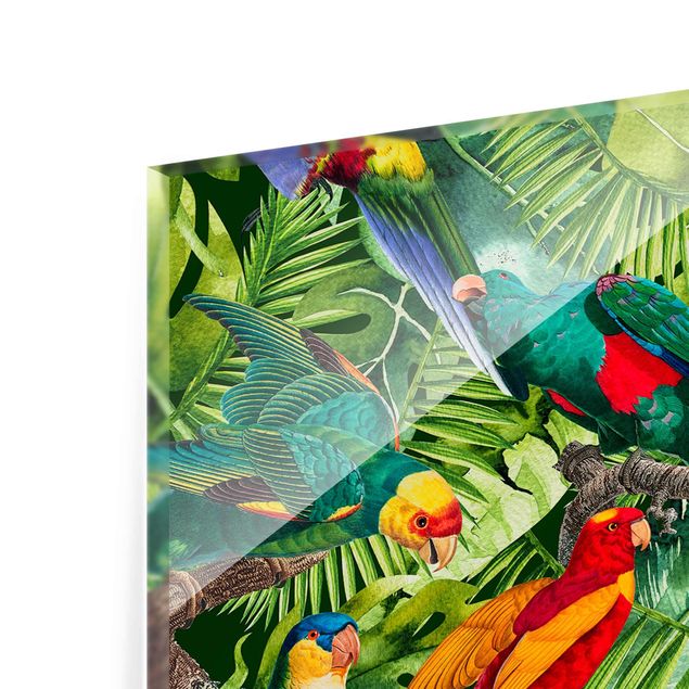 Quadri Collage colorato - Pappagalli nella giungla
