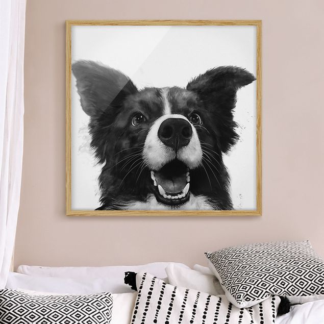 Quadri con cani Illustrazione - Cane Border Collie Pittura in bianco e nero