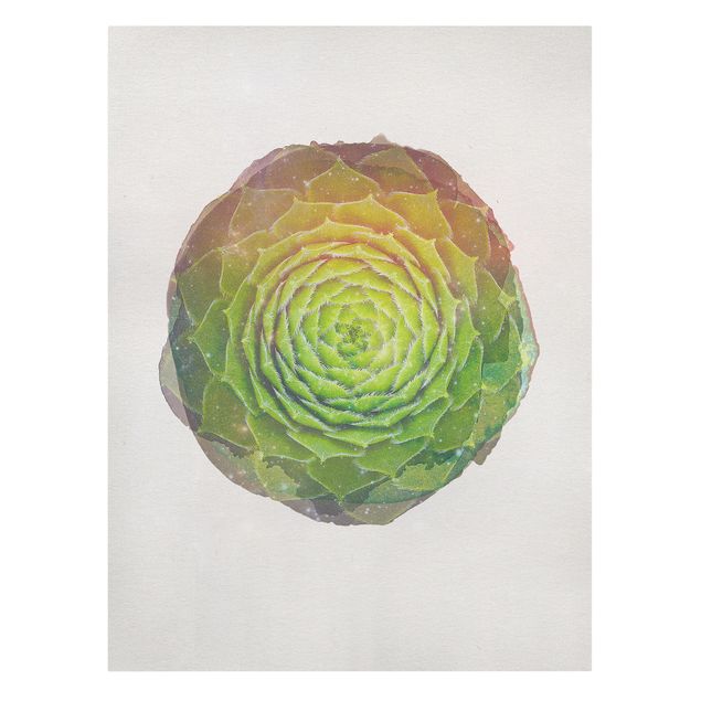 Stampa su tela Acquerelli - Mandala di succulente