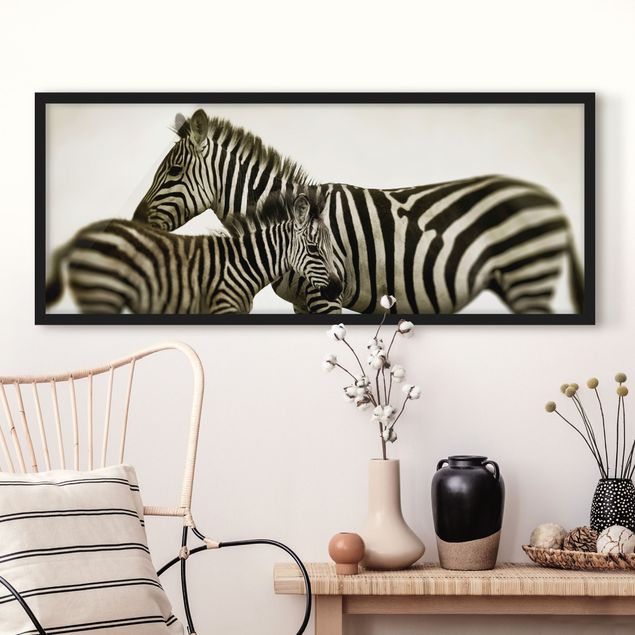Quadri Africa Coppia di zebre