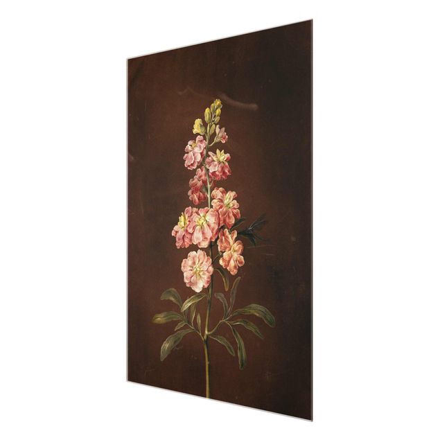 Quadri fiori Barbara Regina Dietzsch - Una gigliofiore rosa chiaro