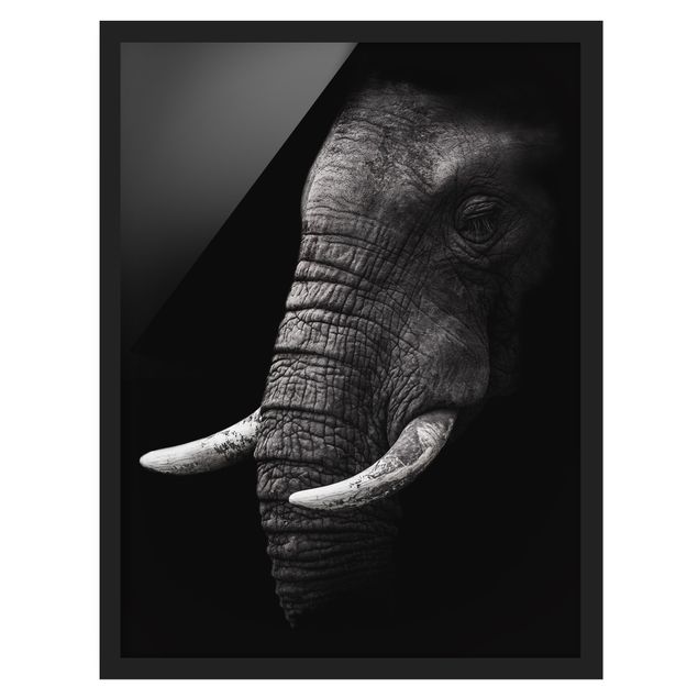 Quadri con cornice in bianco e nero Ritratto di elefante scuro