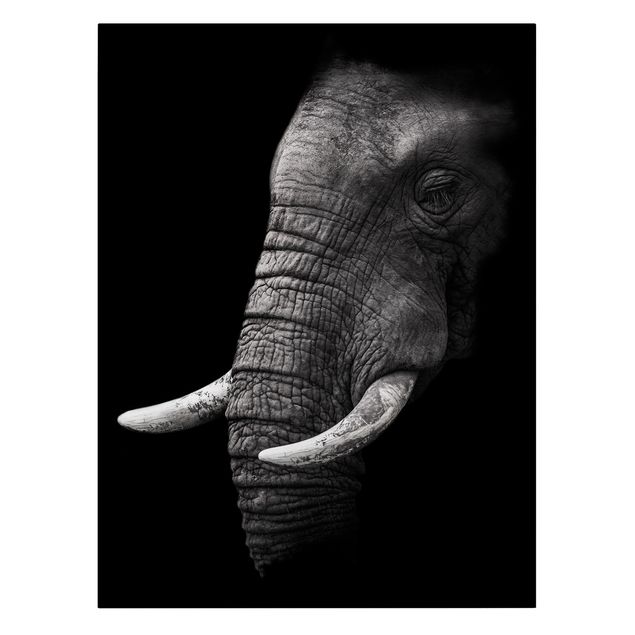 Quadri moderni   Ritratto di elefante scuro