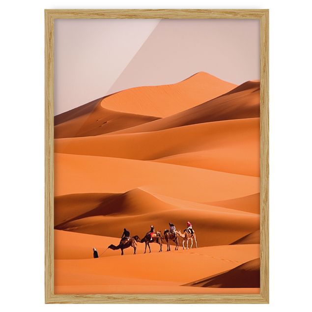Quadri con cornice con animali Deserto del Namib