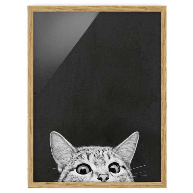 Quadri con cornice con animali Illustrazione - Gatto Disegno in bianco e nero