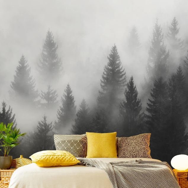 Carta da parati foresta Foresta di conifere nella nebbia Bianco e nero