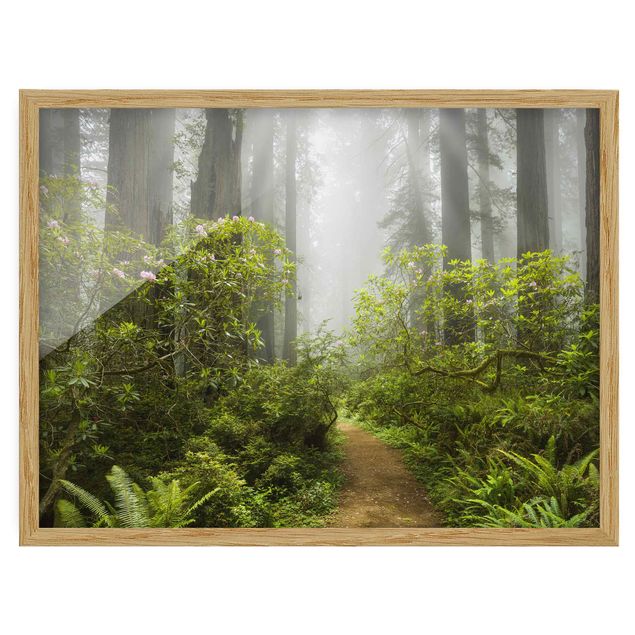 Quadri moderni   Sentiero della foresta nebbiosa