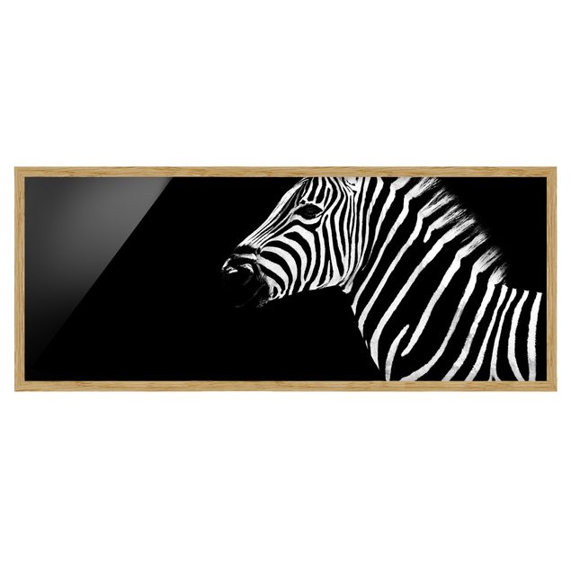 Quadri con cornice riproduzioni Zebra Safari Art
