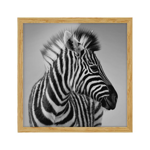 Quadri con cornice astratti Ritratto di piccola zebra II